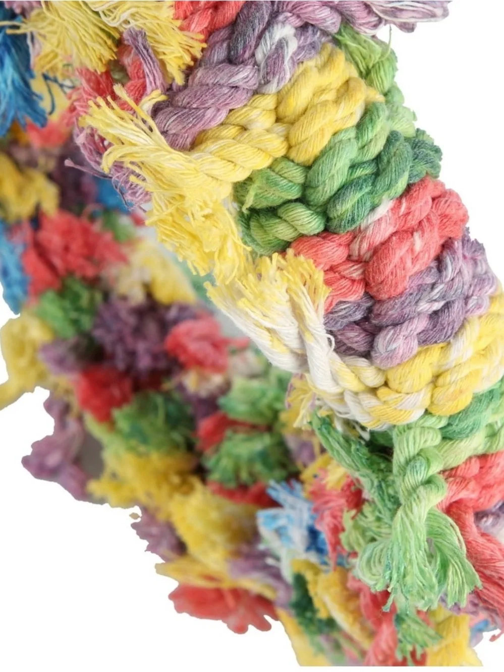 Featherland Paradise this cotton